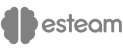 esteam